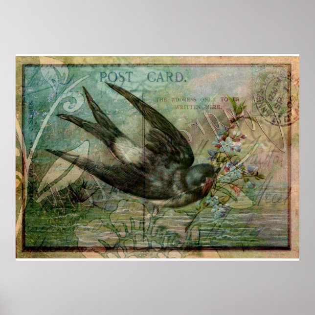 Svälj med blommor poster (Framsidan)