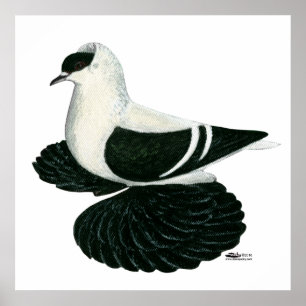 Svälj Pigeon Saxon Black White Pub Poster