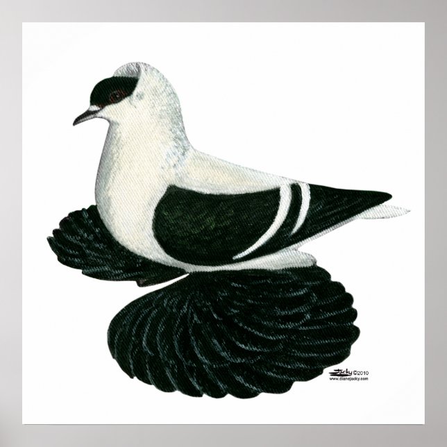 Svälj Pigeon Saxon Black White Pub Poster (Framsidan)