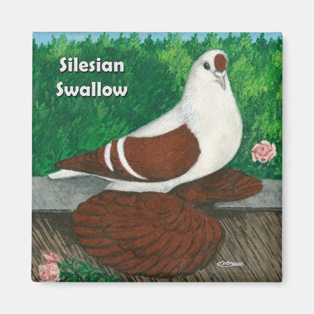Svälj Pigeon: Silesian Magnet (Framsidan)