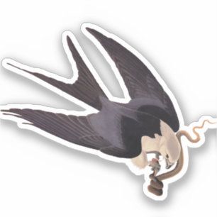 Svälj Tails Hawk med Snake Vintage Audubon Klistermärken