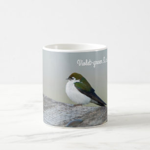 Svälj Violet-grönt Kaffemugg