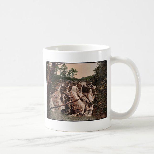 Svälja nedgångar, den felika glenen, kaffemugg (Höger)