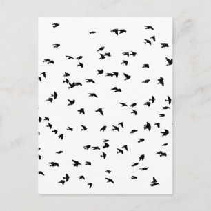 Sväljer i Flight Bird Print Vykort