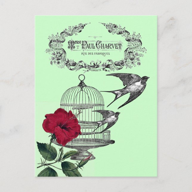 Sväljer i flygkollage vykort (Framsida)