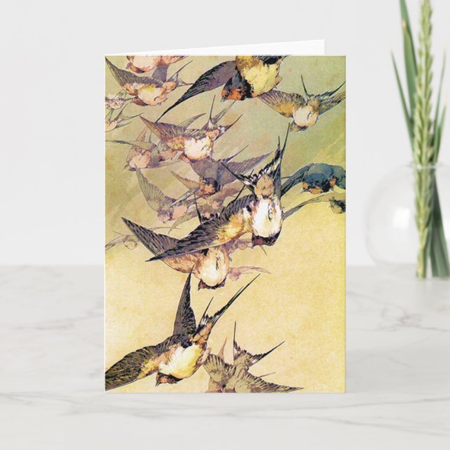 Sväljer Kort (Framsida)