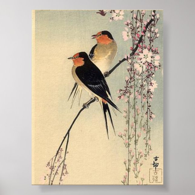 Sväljer med Cherry Blommars - Ohara Koson Poster (Framsidan)