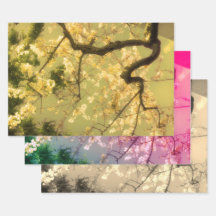 Svälla Pappert Lakan: Insamling av japansk Blommig