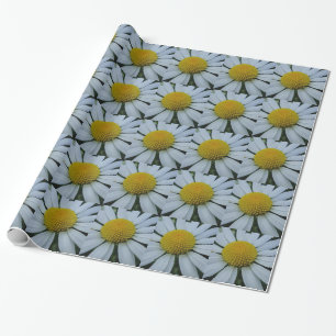 Svälla pappert vitt Chrysanthemum Presentpapper