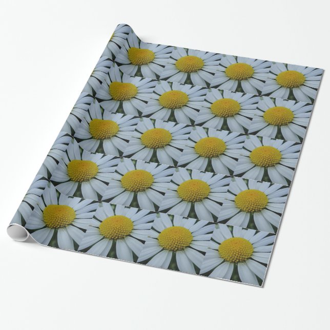 Svälla pappert vitt Chrysanthemum Presentpapper (Utrullad)