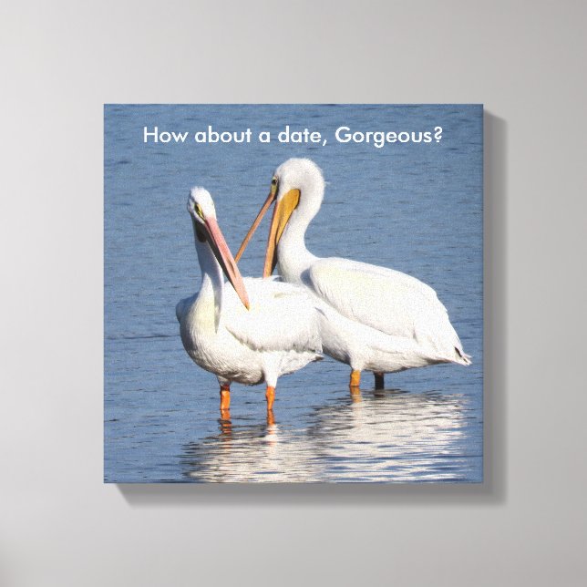 Svälld utskrift av två underliga pelikaner canvastryck (Framsida)