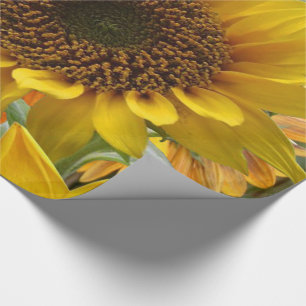 Svällning av Pappra solblommor Presentpapper