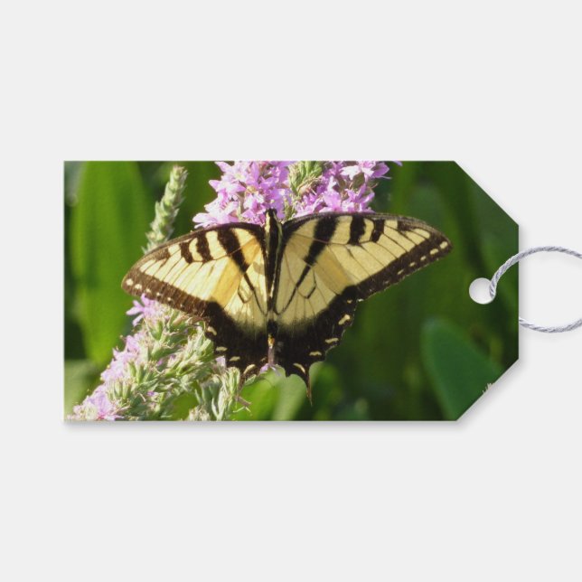 Svalstjärtfjäril på lila vilda blommor presentetikett (Framsidan (Horisontell))