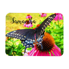 Svalstjärtssommerfågel Rosa Echinacea Blommor Magnet