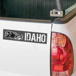 SVALT IDAHO - EN BAD BASERAD BILDEKAL