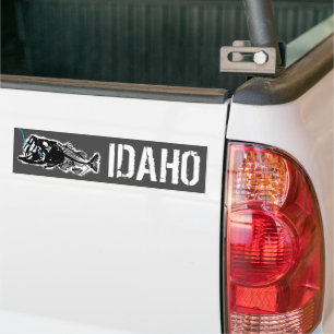 SVALT IDAHO - EN BAD BASERAD BILDEKAL