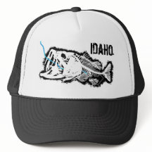 SVALT IDAHO - EN BAD BASERAD