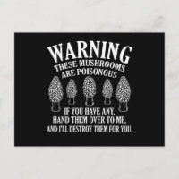 Svamp Är Giftiga Morel Jakt Mykolog