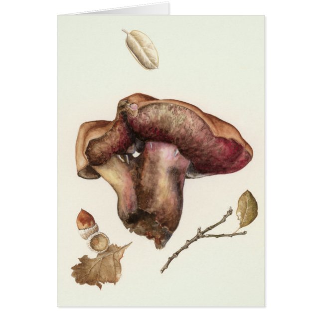 Svamp Hälsningskort (Framsidan)