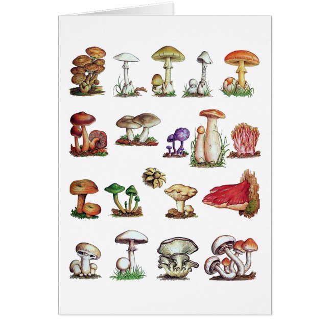 svamp hälsningskort (Framsidan)