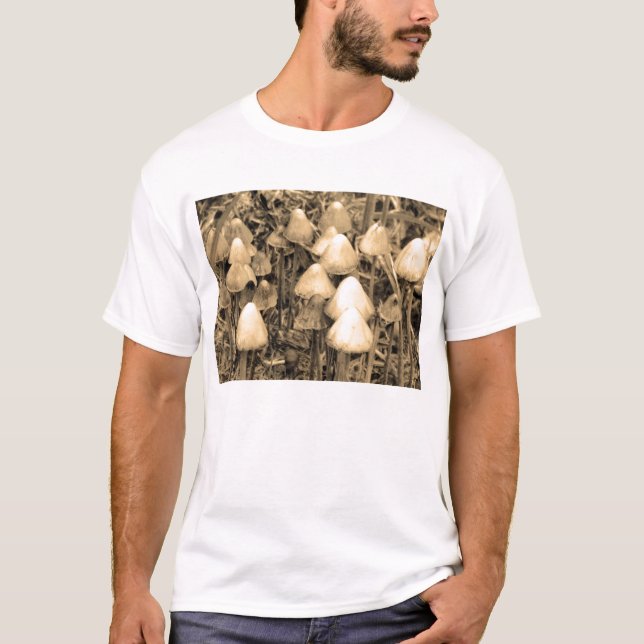 Svamp i sepia tee (Framsida)