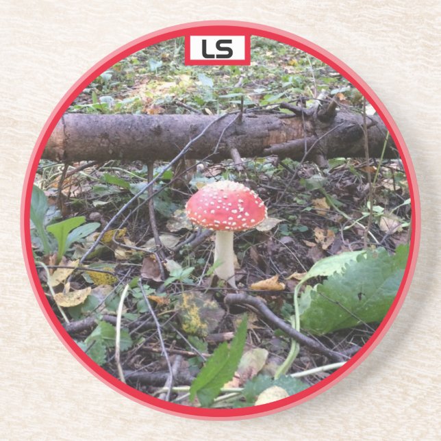 Svamp i skogen LS Sandstens Coaster Underlägg (Framsidan)