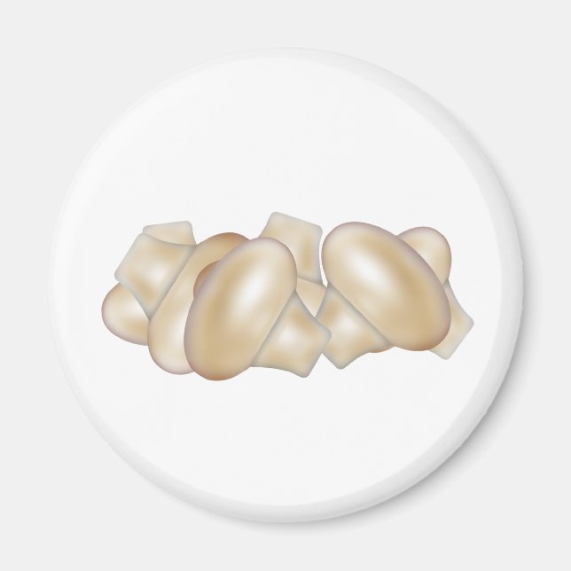 Svamp Magnet (Framsidan)