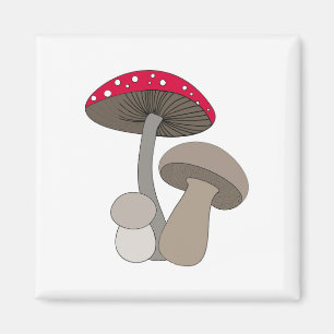 Svamp Magnet