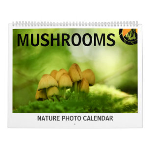 Svamp Naturbilder 2027 Kalender