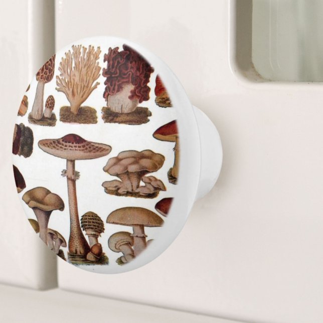 Svampar av botaniskt tryckt vintage knopp (Woodland botanical print vintage mushroom ceramic knob)
