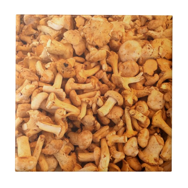 Svampar av gult kakelplatta (Framsidan)