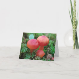 Svampar Bright Red på Forest Golv Kort