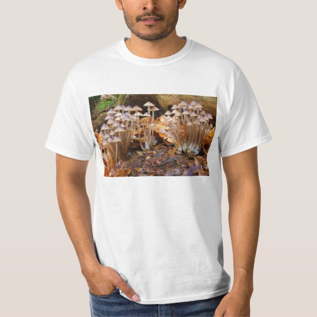 Svampar för Mycena Inclinata samla i en klunga Tröja (Framsida)