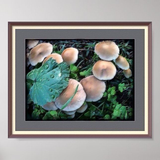 Svampar i Poster gräs (Framsidan)