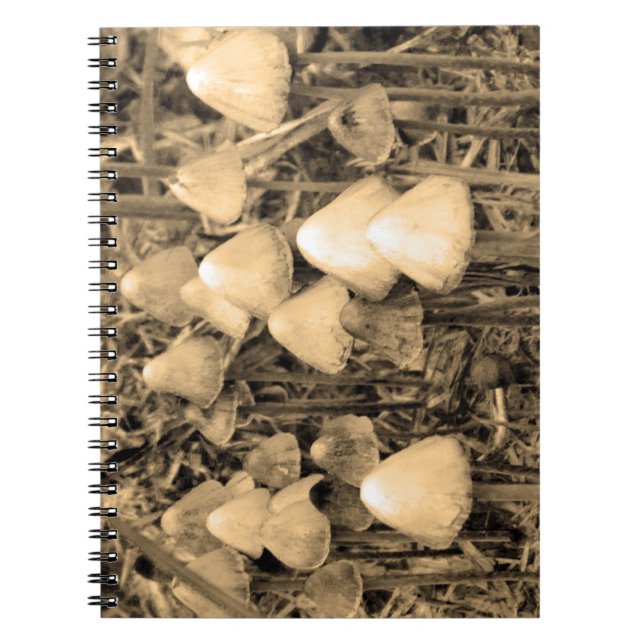 Svampar i sepia anteckningsbok med spiral (Framsidan)