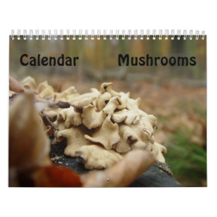 Svampar Kalender