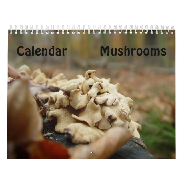 Svampar Kalender (Omslag)