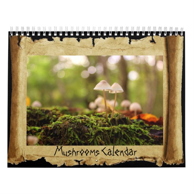 Svampar Kalender (Omslag)