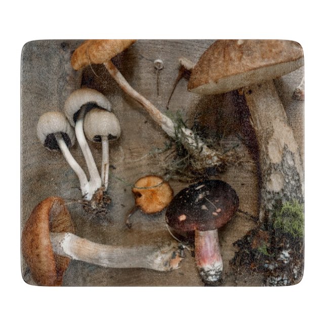 Svampar Kärlek Fungi (Framsidan)