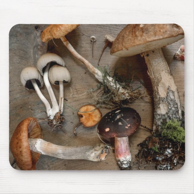 Svampar Kärlek Fungi Musmatta (Framsidan)