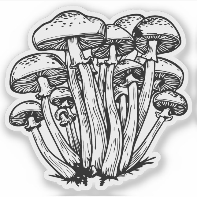 Svampar Klistermärken (Framsida)
