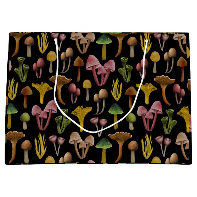 Svampar, lavar och färgade svampar (Framsidan)