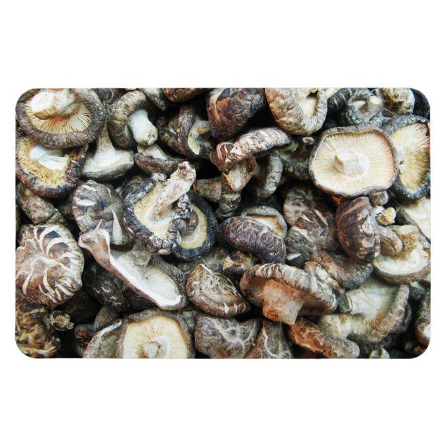 Svampar Magnet (Horisontell)