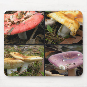 Svampar Mousepad Musmatta