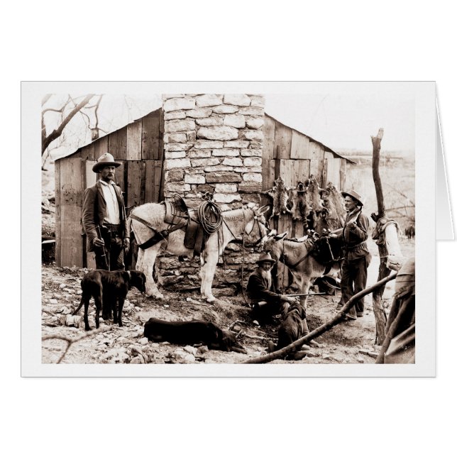 Svampar och deras kabin hälsningskort (Framsidan Horizontal)