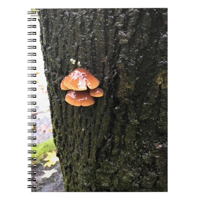 Svampar på Träd, Oregon Anteckningsbok (Framsidan)