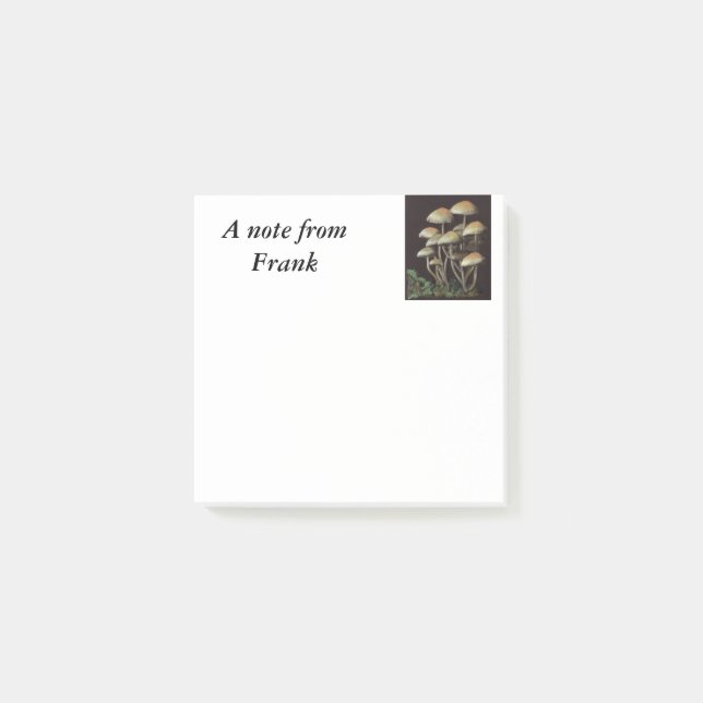 Svampar Post-it Block (Framsida)