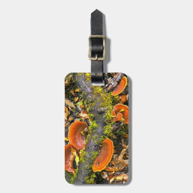 Svampar som odlas på Grenar, Knysna-Amatole Bagagebricka (Vertikal Framsida)