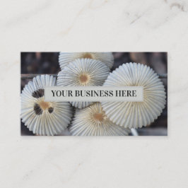 Svampar Utomhussvampar Svampar Visitkort