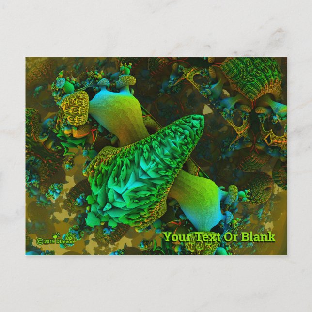 Svampar Vykort (Framsida)